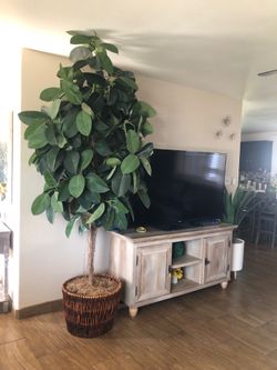 Big plant artificial 8 or 9 feet