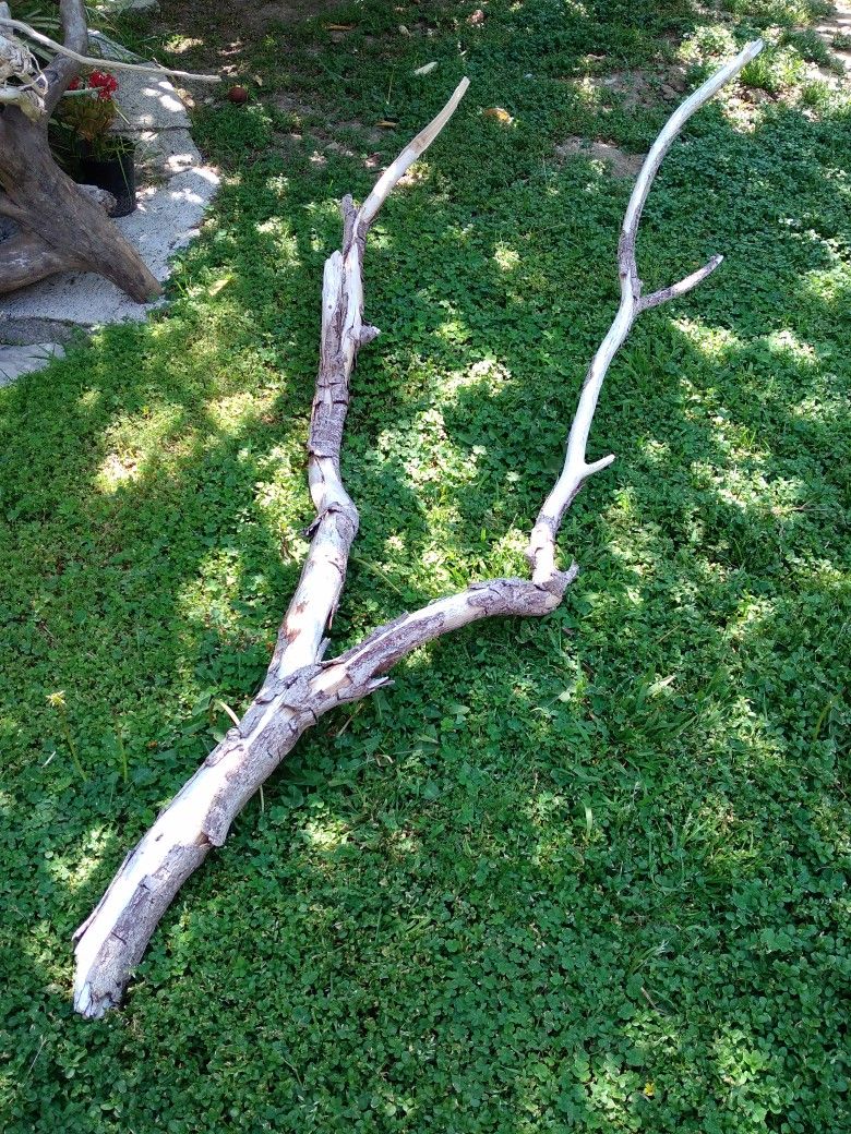 Natural Driftwood For Aquariums Terrariums Decor