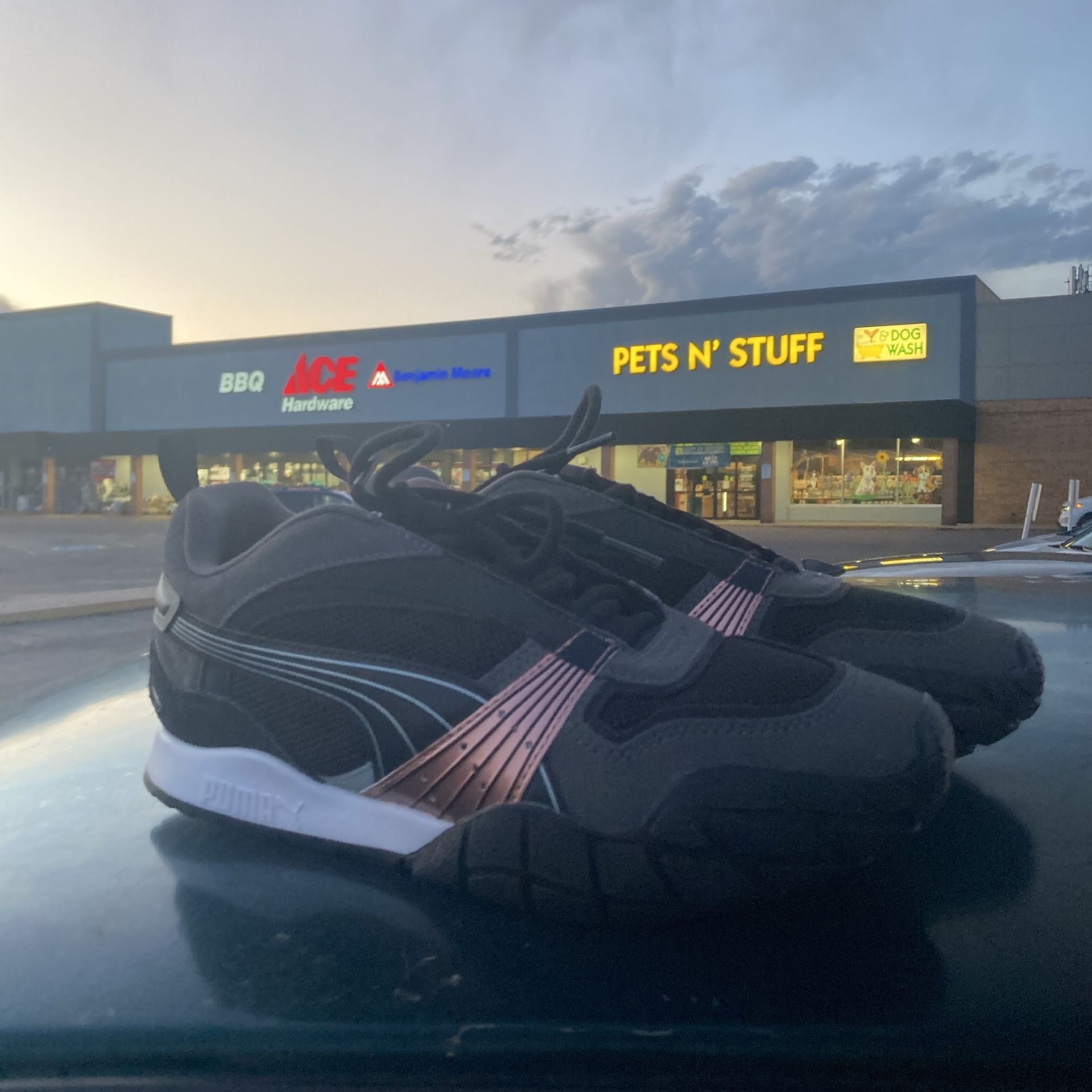 Brand New Women’s Puma Shoes(size 7.5)