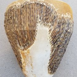 African Kenyan Drum, Hand-made from Maasai Mara 1982
