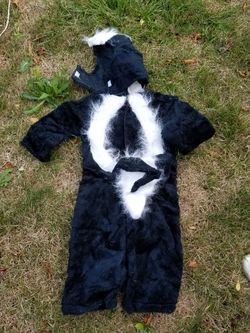 Preschool skunk costume
