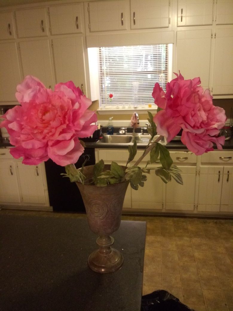 Pink flowers in Vase