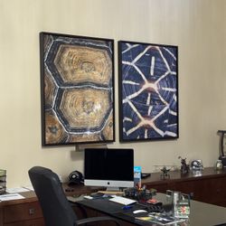 Beautiful Carapaced Motif IV Art Piece.