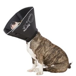 Comfy Cone E For Dogs Size Large