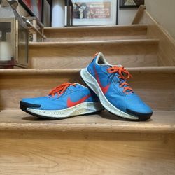Nike Pegasus Trail 3, Men’s 12US - Excellent Used Condition, Barely Worn 