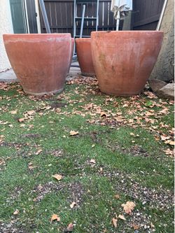 Large terracotta planter