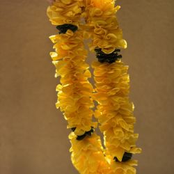 Graduation Lei