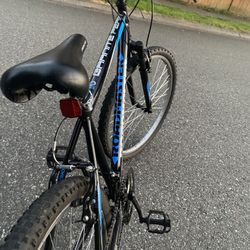 Roadmaster Mountain Bike