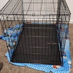 Dog Kennel 