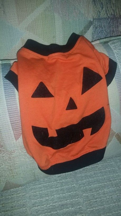 Small Dog/Cat Halloween Costume!