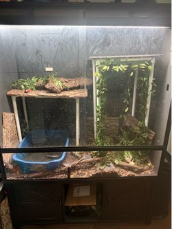 Toxirium reptile enclosure 48x24x48 with stand