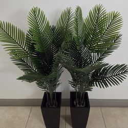 *** REDUCED *** PAIR of 52" Faux Areca Palms in 16" Black Resin Planters @ Lasting Creations 