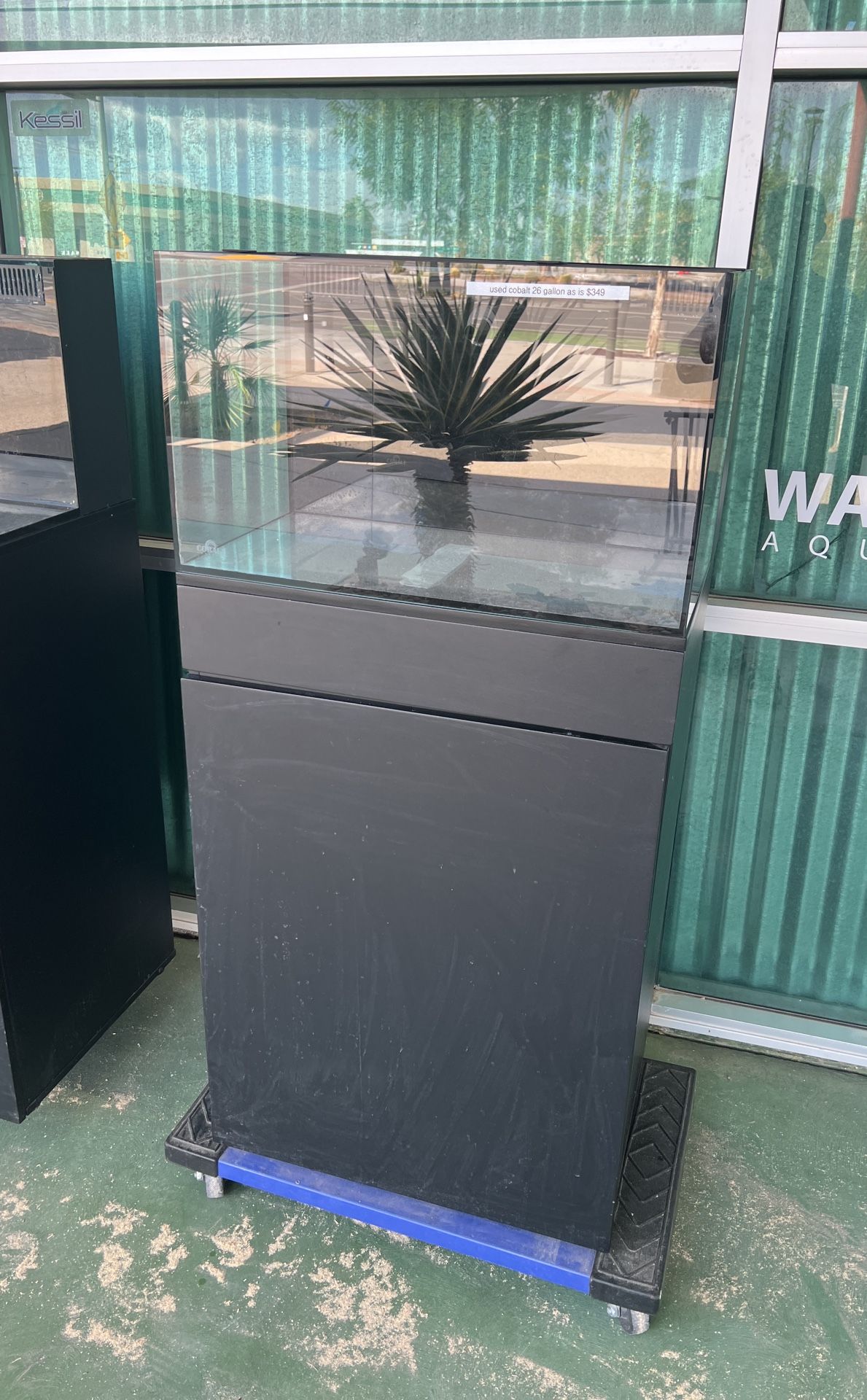 Used Cobalt 26 Gallon All In One Aquarium