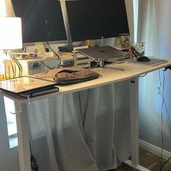 Work From Home Standing Desk Setup - All 1 Year Old 