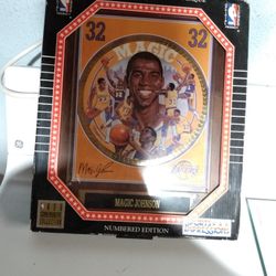 new magic Johnson nba collectors plaque 