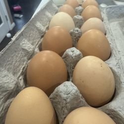 Farm Fresh Eggs 
