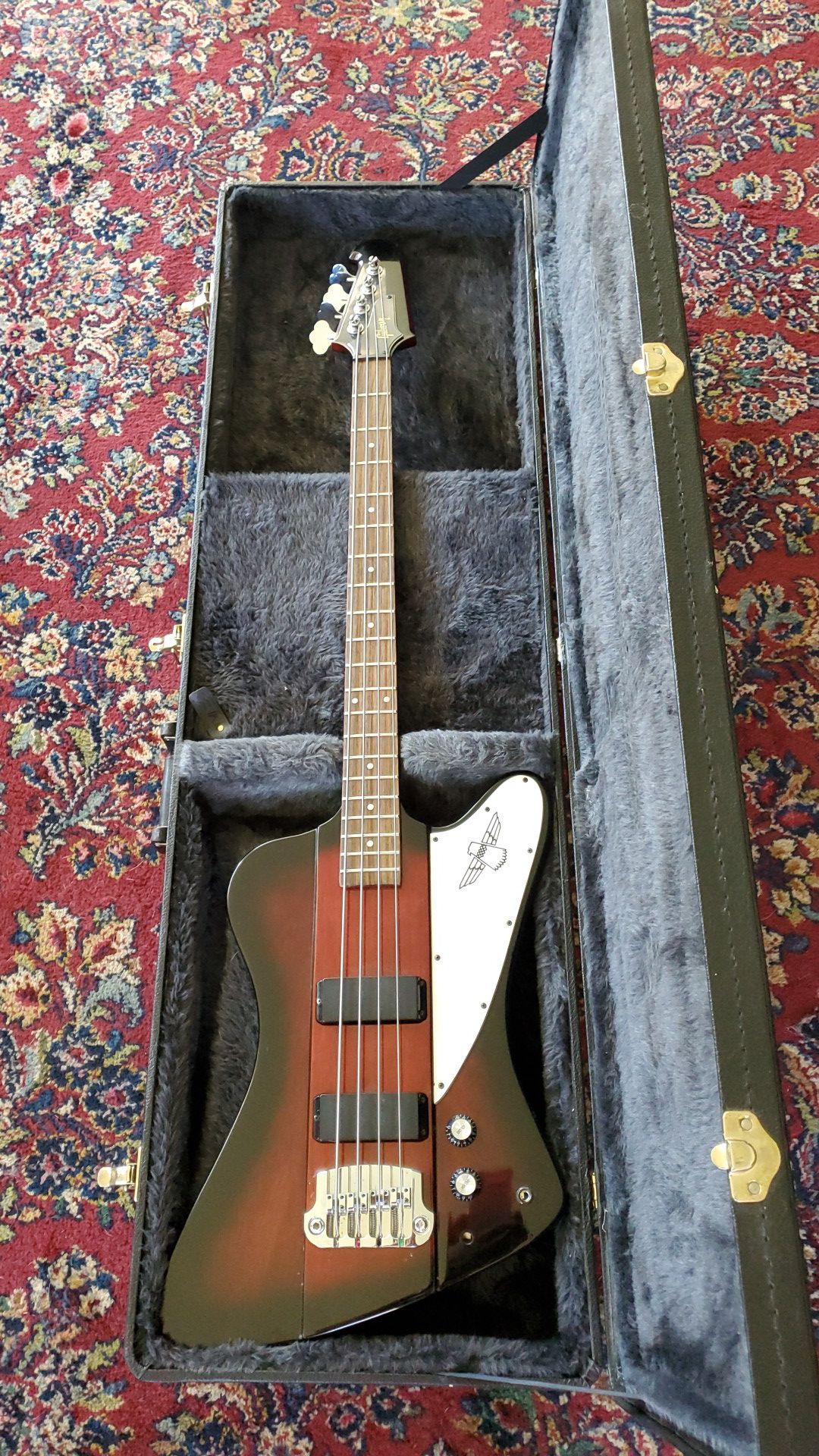 Epiphone Thunderbird 4 Bass with Gibson logo!