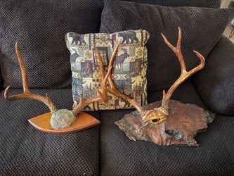 2 antler mounts on real wood