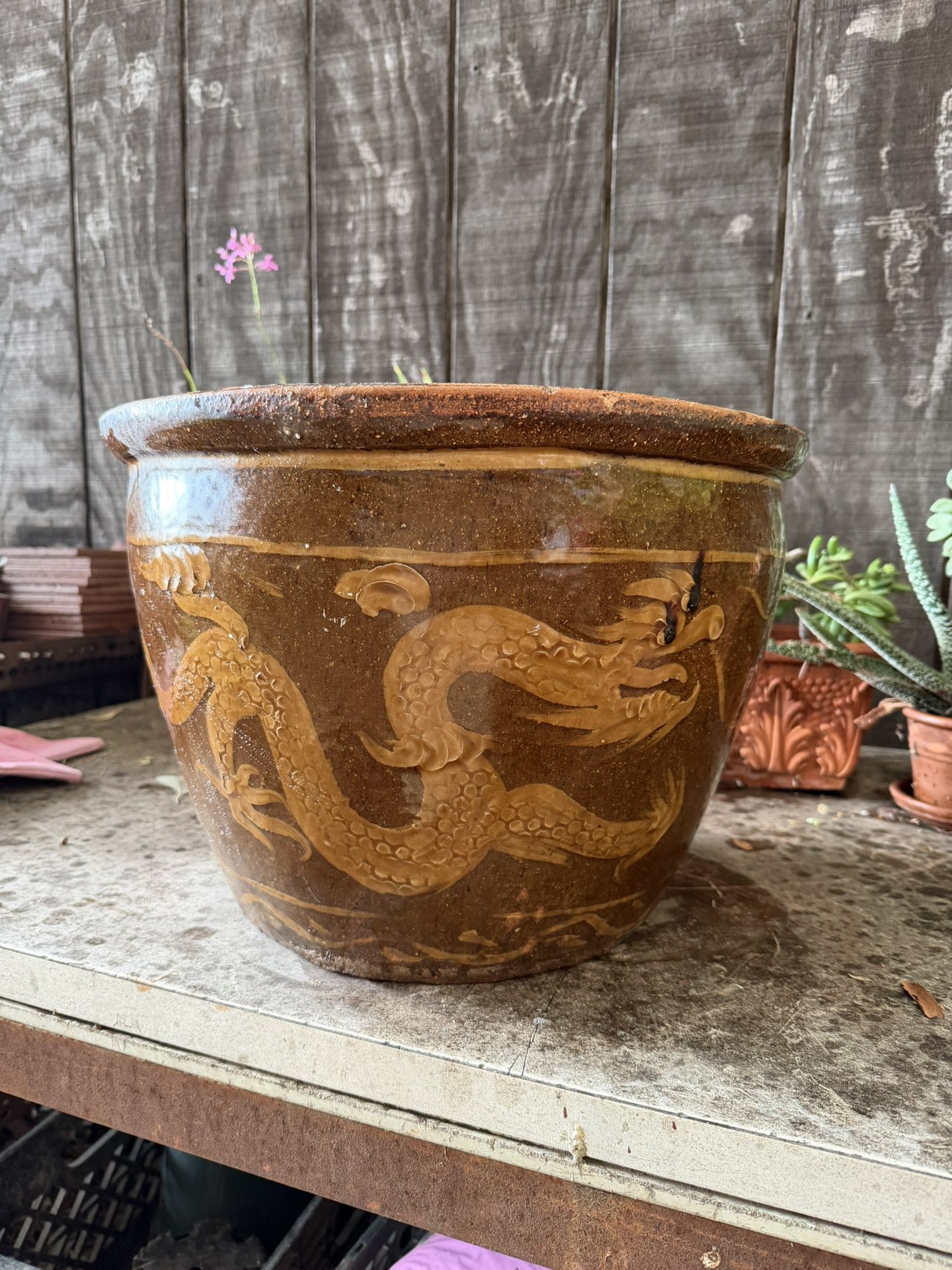 Chinese Earthenware Egg Dragon Pot