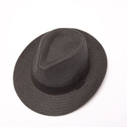 Large Brim Fedora