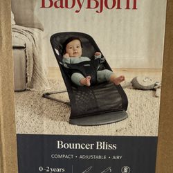 Open Box! Baby Bjorn Bliss Convertible Baby Bounce (retails $280)