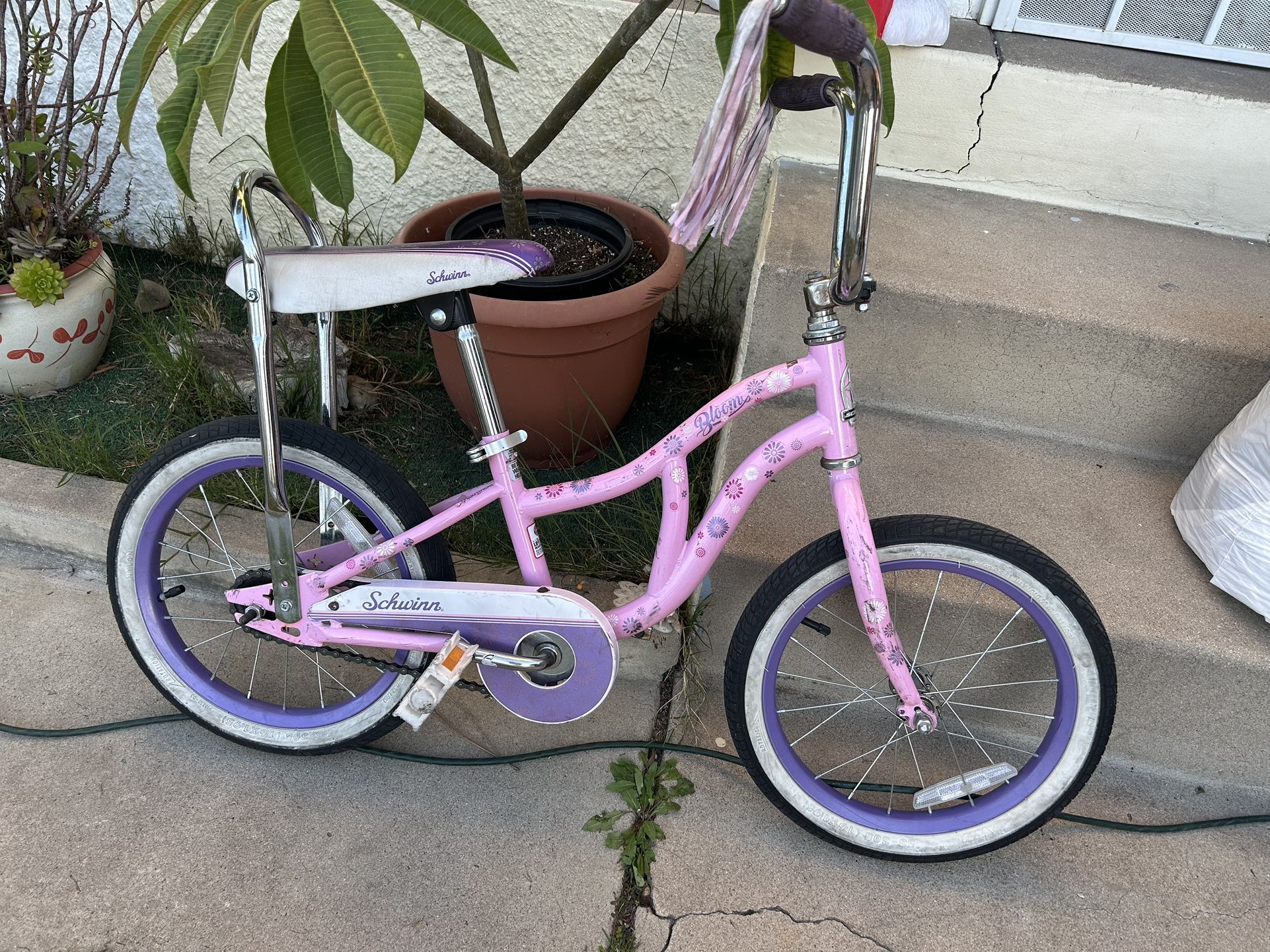 Schwinn Girls Bike