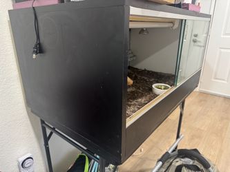 Reptile enclosure
