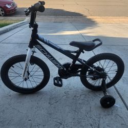 Schwinn Boys Bike