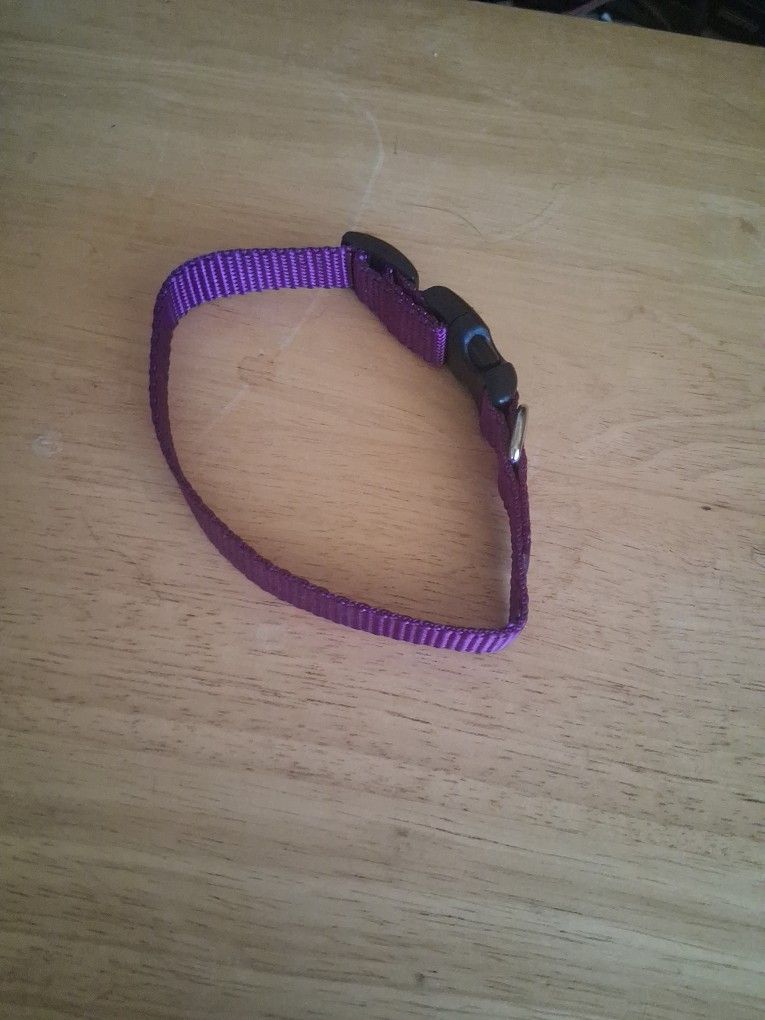 Dog Collar