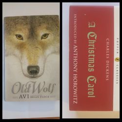 2 BRAND NEW CHRISTMAS WINTER THEME BOOKS