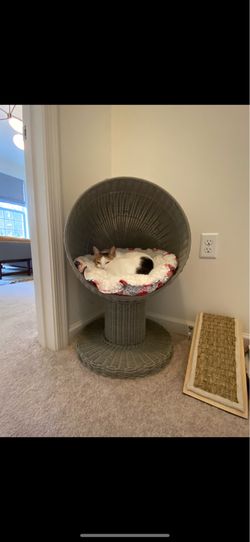 Gray Cat bed decorative furniture