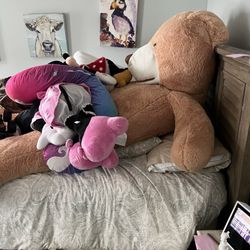 Biggest Stuffed Animal Bear I Could Find