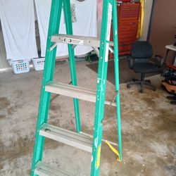 6 Ft Ladder 