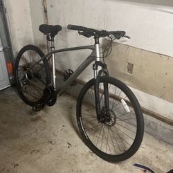 Trek Dual Sport 2