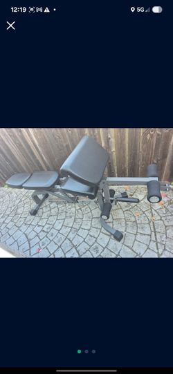 XMARK Weight Bench