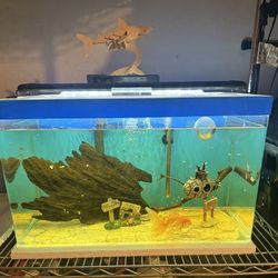 20 Gallons Acrylic Fish Tank