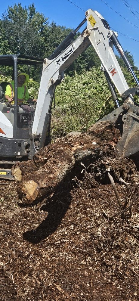 Excavator