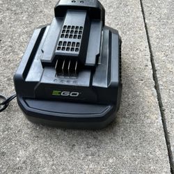 EGO CH2100 Power+ 56-Volt Lithium-ion Standard Charger for EGO Power+ Equipment