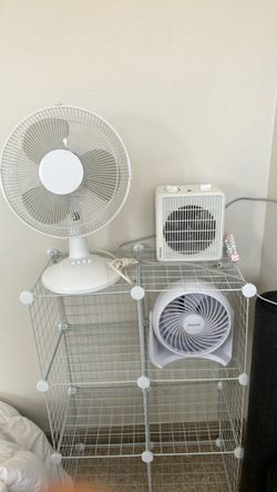 Fans