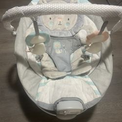 Ingenuity Baby Bouncer