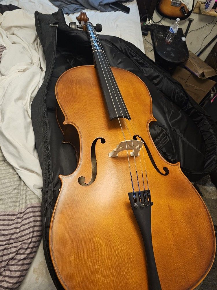 Cello Must Go Today