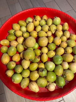 Fresh Guavas