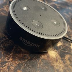 Black & Blue Amazon Alexa