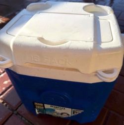 Igloo 12qt Cooler