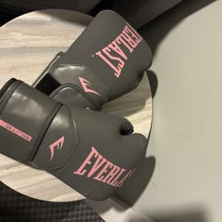 Everlast Boxing Gloves 