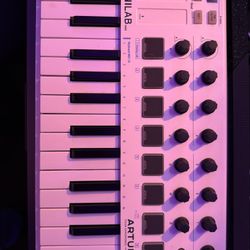 Arturia MiniLab MKII MIDI Keyboard Controller – Like New (Used Once)