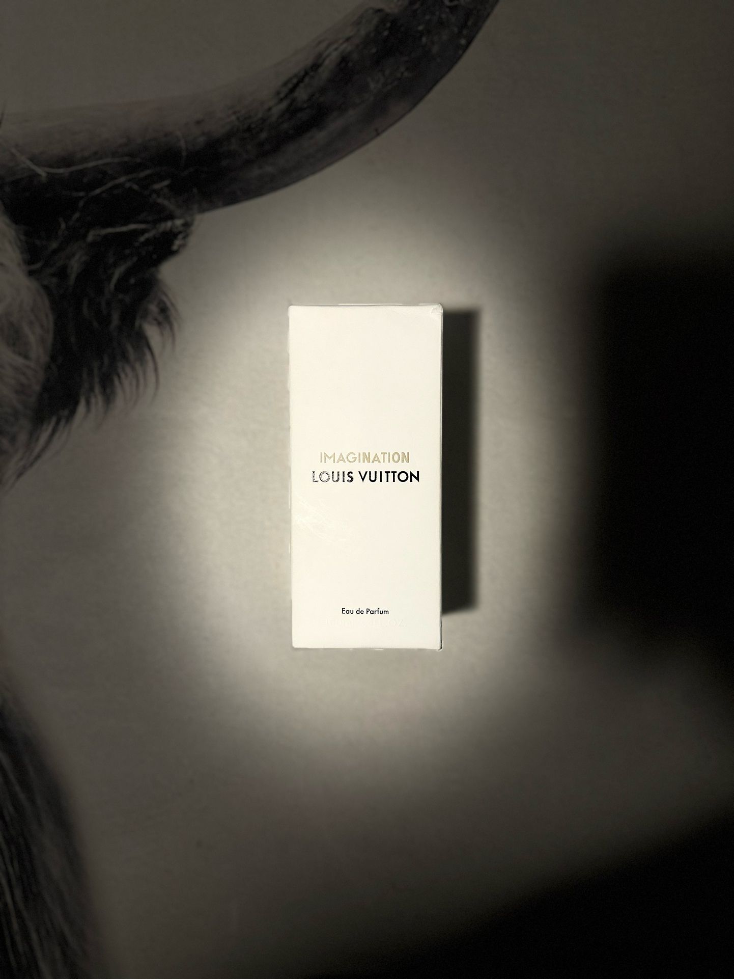 Imagination Louis Vuitton