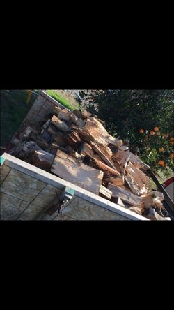 Pine firewood