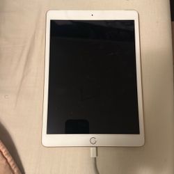 iPad is Model A2428, which is the iPad (8th Generation), 10.2-inch, Wi-Fi version.