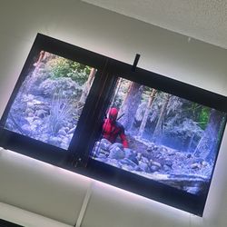 Free Vizio Quantum 75 Tv . 